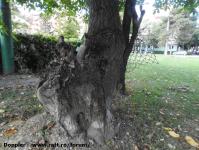 Imagine atasata: Openville - 2016.10.08 - 33.jpg